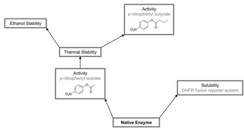 Figure 1.9 Directions for the evolution of DLH 