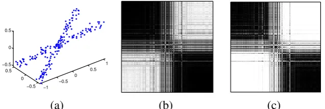 Figure 4.4: Clustering two lines with noise in 3D: (a) Two lines with Gaussiannoise; (b) New SIM after row normalization, with noise in the off-diagonal blocks;(c) Afﬁnity matrix after elementwise powering