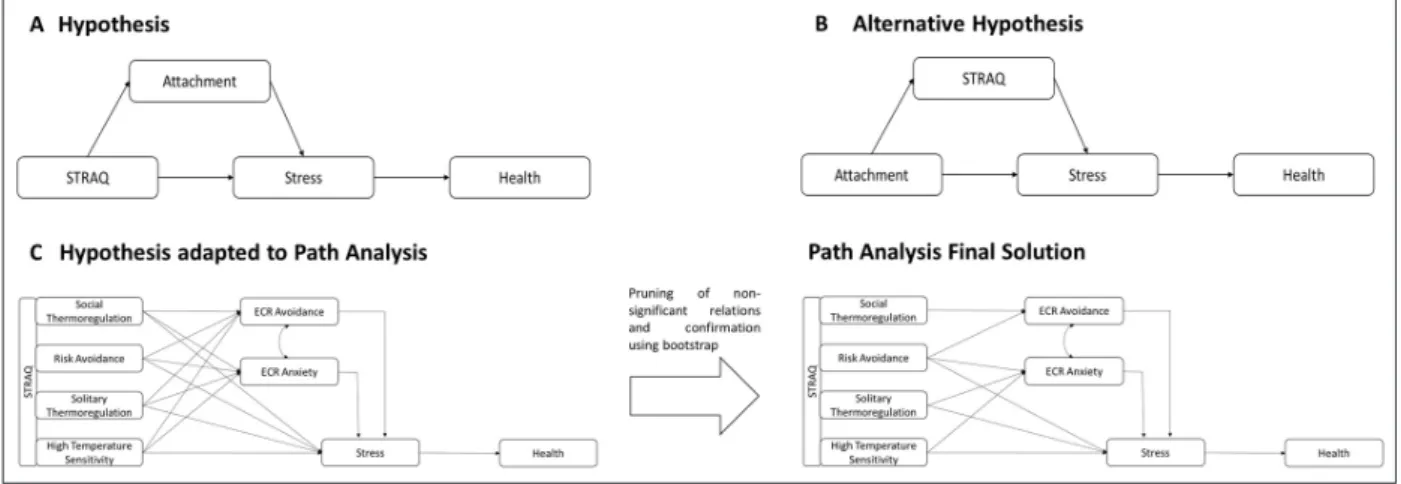 Figure 1: Schematic overview of our proposed model (A), a competing model (B), and how our proposed model (A) was  adapted through pruning in our path analysis to our final solution (C).