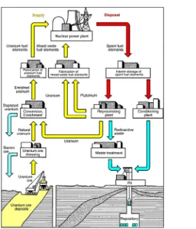Fig. 3. – Schematic view of the open and closed fuel cycles. (Picture taken from ENS, Euro-pean Nuclear Society, https://www.euronuclear.org/info/encyclopedia/n/nuclear-fuel-cycle.htm.)