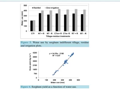 Figure 6. Sorghum yield as a function of water use. 