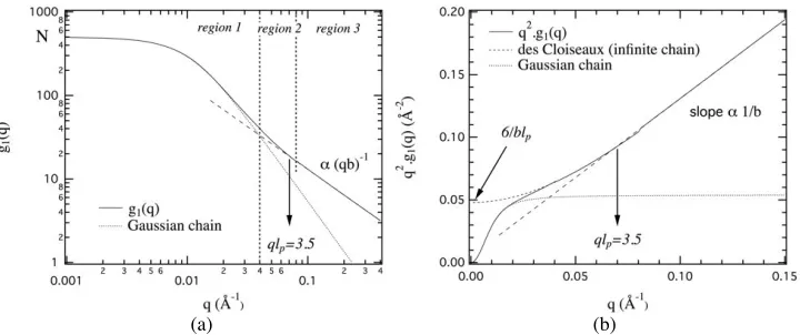 Fig. 11. Form factor of a wormlike chain according to Eq. (18), (19) and (20) in logarithmic (a) and corresponds to the asymptotic form of des Cloiseaux