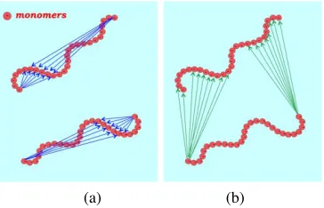 Fig. 4. Illustration of the two types of summation. Counterions are neglected. (a) monomer pairs polyions: intermolecular structure functions along the same polyions: intramolecular structure function S1(q); (b) monomer pairs on distinct S2(q)