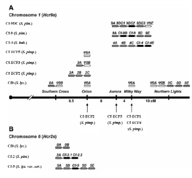 Figure 1.3 Structural organization of Hcr9 and Hcr2 gene clusters in the tomato 