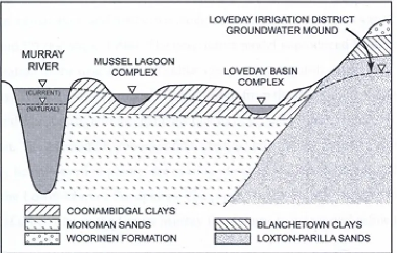 Figure 3-15: Local Hydrogeology of Mussel Lagoon and Loveday Disposal Basin. (Modified from Lamontagne et al., (2005))