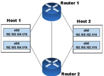 Figure 2. A sample of multi-homing communication between two endpoints. 