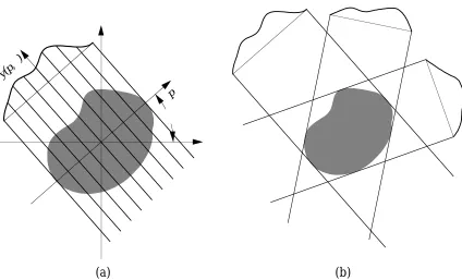 Figure 3.1: (a) Line integrals are used to construct a proﬁle of an object. (b) Severalproﬁles are used to build a cross-section of the object