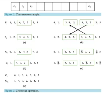 Figure 2. Chromosome sample. 