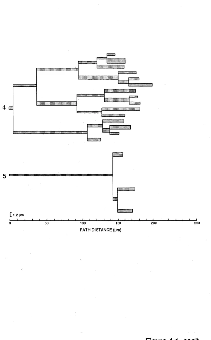 Figure  4.1  con't.