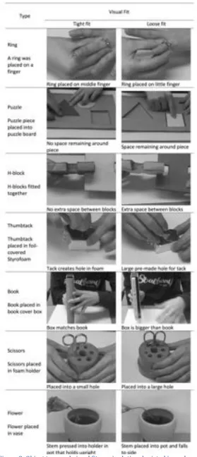 Figure 2: Object type and visual fit manipulation depicted in real-world created  video  stimuli  that sampled  a  range  of video 