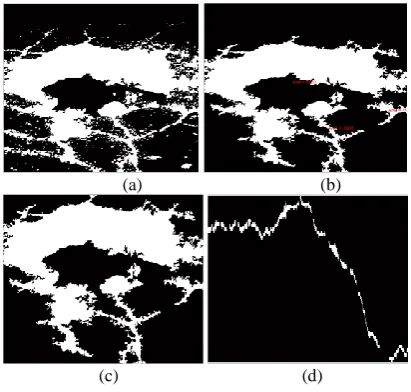 Fig. 11 Different images obtained while severity  calculation. Fig. 11(a), Fig. 11(b), Fig