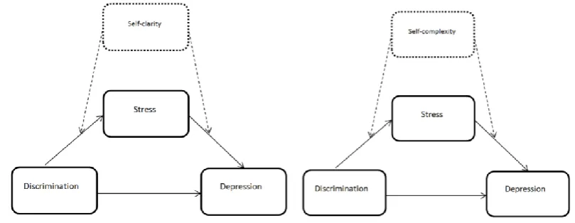Fig. 3. Model 3: Self-clarity moderates the relationships  between discrimination, stress and wellbeing (H2b) 