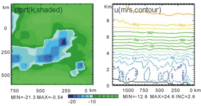 Figure 2. The vertical velocity w (left) and its perturbation (right) at z = 3.5 km and time t = 3.33 h