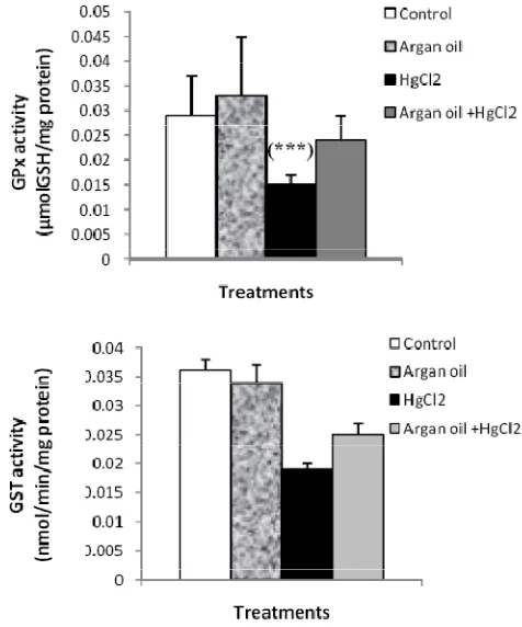 Figure 2: Enzyme activities of GPx (µmol GSH/ mg protein) and GST (nmol /min/mg protein) in kidney of control and rats treated with argan oil, mercuric chloride, and combined treatment of mercuric chloride with argan oil after 3weeks of treatment