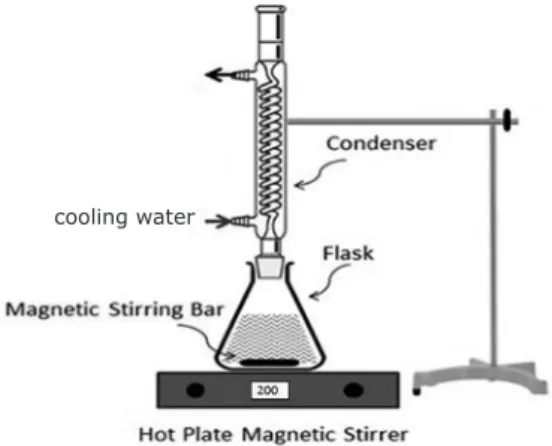 Figure  3:  Assembled  solubility  test  setup  at  high  temperatures.