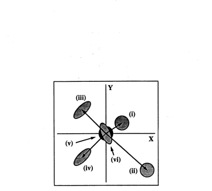 Figure 1.1: Ph&sor diagram of coherent and squeezed states.The length of the phasor represents the mean amplitude of the state