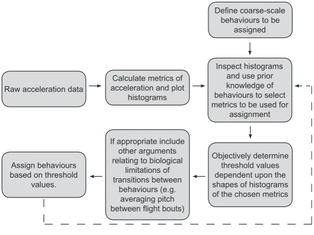 Figure 1. Flowchart of the process developedfor assigning behaviors to accelerometry data.
