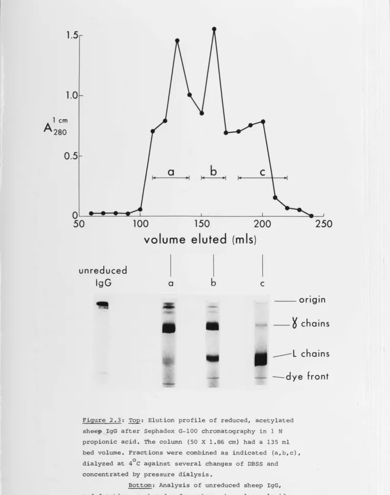 Figure 2.3: Top: Elution profile of reduced, acetylated 