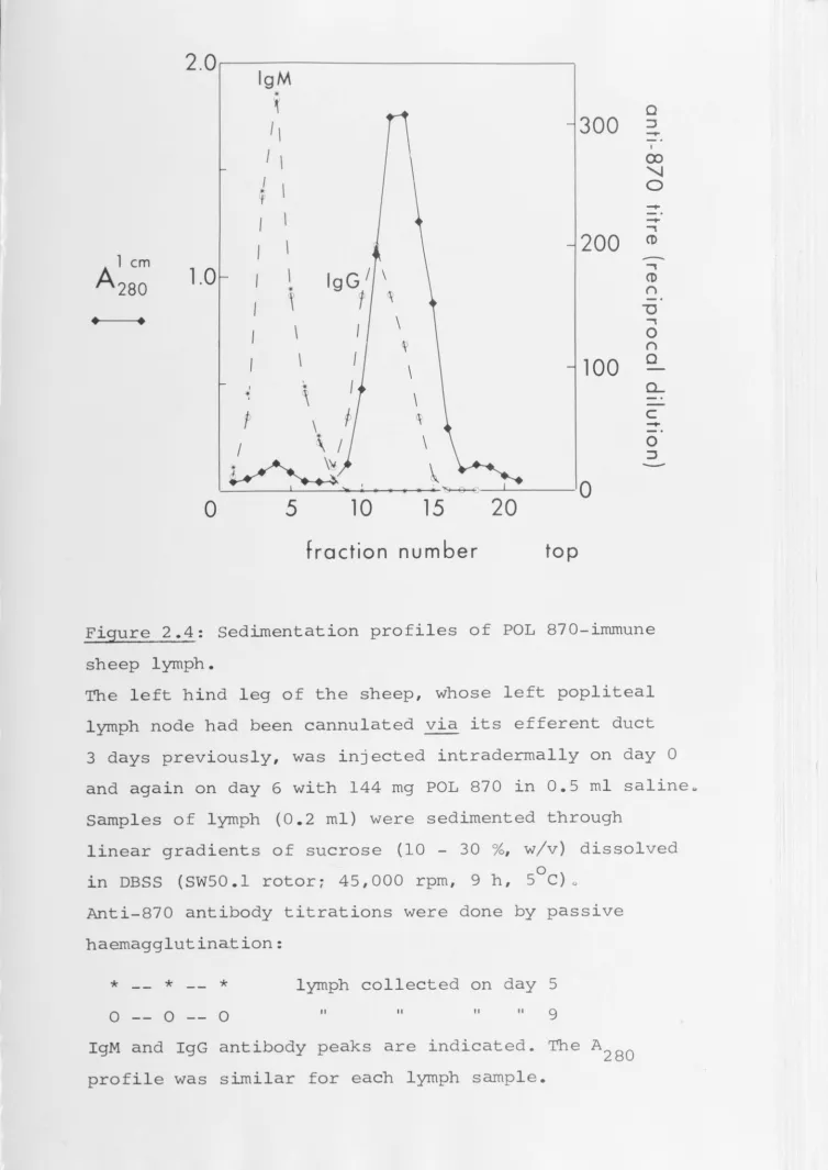Figure 2 .4_: Sedimentation profiles of POL 870-immune 