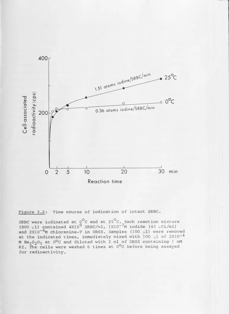 Figure 3.2: 