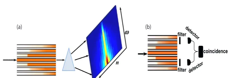 Figure 2.7: Scheme of the experimental setup designed to measure spectral andspatial distribution of the nonlinear WGA output photon-pair intensity.Thepump beam generates photon pairs that suﬀer losses and couple to the neigh-boring waveguides