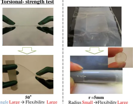 Figure 9. Appearance of evaluation for flexibility of the developed substrate.                                                  