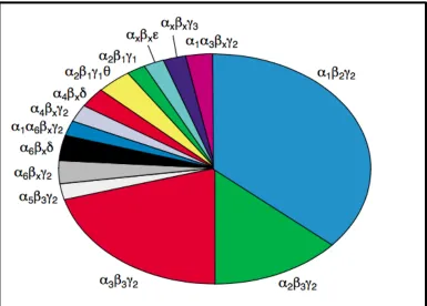 Figure 7 shows the frequency of GABA receptors and the subunits they are composed of. Source (111) 