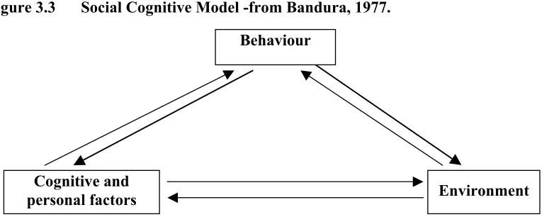 Figure 3.3 Social Cognitive Model -from Bandura, 1977. 