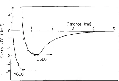 Fig. 9: Interaction energy E(D) between galactolipid bilayers in water (no salt) as a function of the bilayer separation