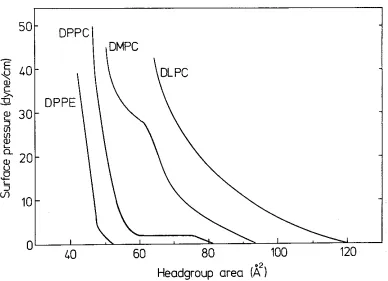 Fig. JO: Jonolayer compression (fl-A) isotherms of DPPE, DPPC, DMPC and DLPC. 
