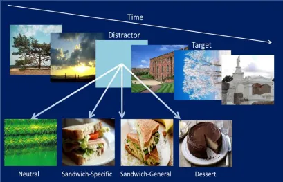 Figure 3.2.1. Diagram of EBA task, with different sandwich categories 