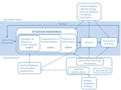 Figure 2.4: Model of SA in Dynamic Decision Making