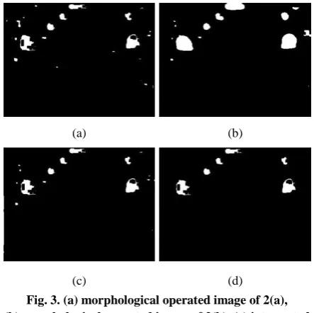 Fig. 2. (a) Original input image, (b) HSV colour image, (c) binary image for red pixels, (d) binary image for white pixels 