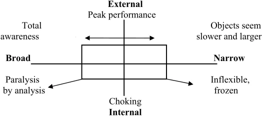Figure 1.  Dimensions of consciousness, from Nideffer (1992) Psyched to Win (p. 34). 