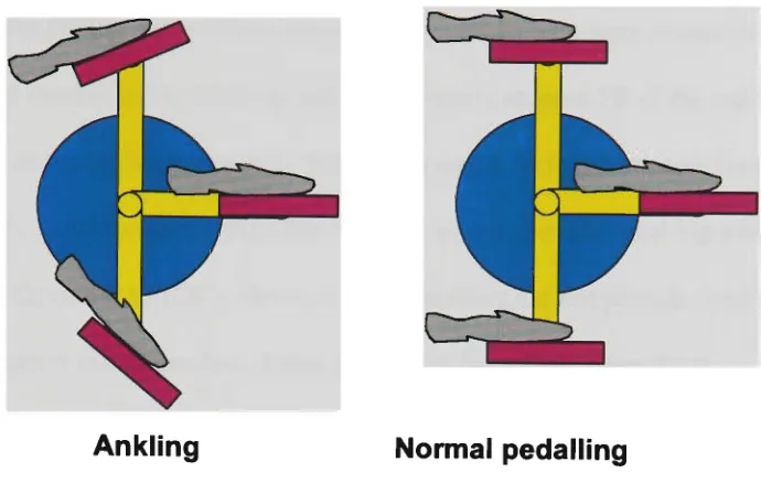 Figure 2.4 Gravitational force on the upstroke opposes propulsion on the downstroke. 