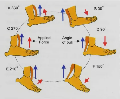 Figure 2.6 Angle of pull and resultant forces during 360 degrees of the crank cycle. 
