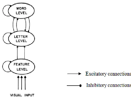 Figure 2. The processing system involved in visual word recognition  (McClelland & Rumelhart, 1982, p