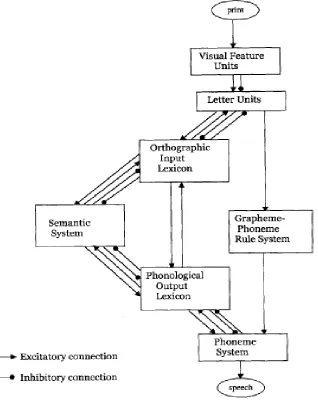 Figure 4. The Dual-Route Cascaded model of visual word recognition and reading aloud.  (Coltheart et al., 2001, p