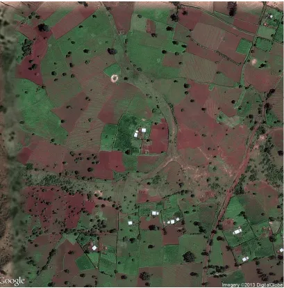 Figure 1.1: Example of a satellite image from the Google Static Map service.