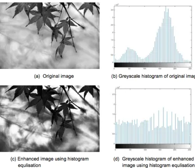 Figure 2.4: Example of the use of an arithmetic operator for image enhancement