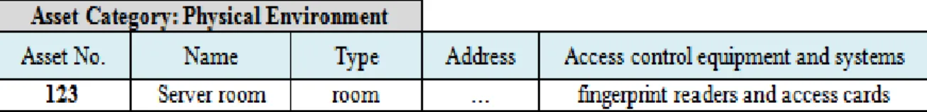 Figure 3. Asset identification form for physical environment category 
