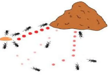 Fig. 1.  Ant Colony Optimization 