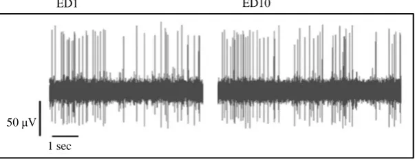 Figure 4. A representative analog of neuronal activity prior to spike sorting fol- lowing saline administration at ED1 (left trace) and at ED10 (right trace)