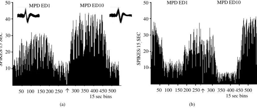 Figure 7. A representative histogram shows the neuronal activity post MPD exposure on ED1 and ED10