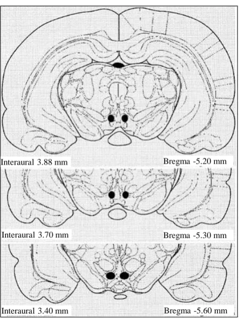 Figure 1 summarizes the histologically verified electrode tip placement in the VTA using the coordinates given in the Sher- wood and Timiras rat brain atlas 1970