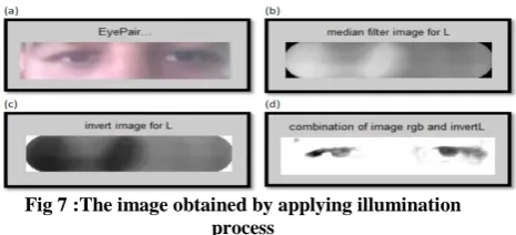 Fig 7 :The image obtained by applying illumination process 