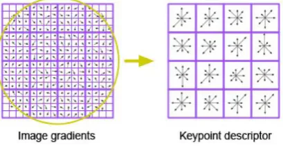 Fig. 4: The SIFT descriptor generation [2]. 