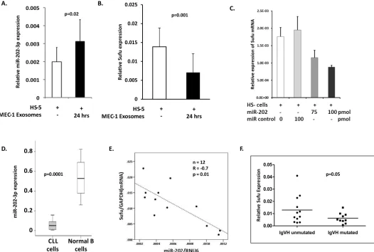 Fig 5. Expression of miR-202-3p and its target Sufu mRNA in CLL cells. (A) HS-5 cells incubated with MEC-1 exosomes for 24 hrs show increasedanalysis for miR-202-3p and Sufu mRNA expression levels, normalised to RNU6 and GAPDH expression respectively, and 