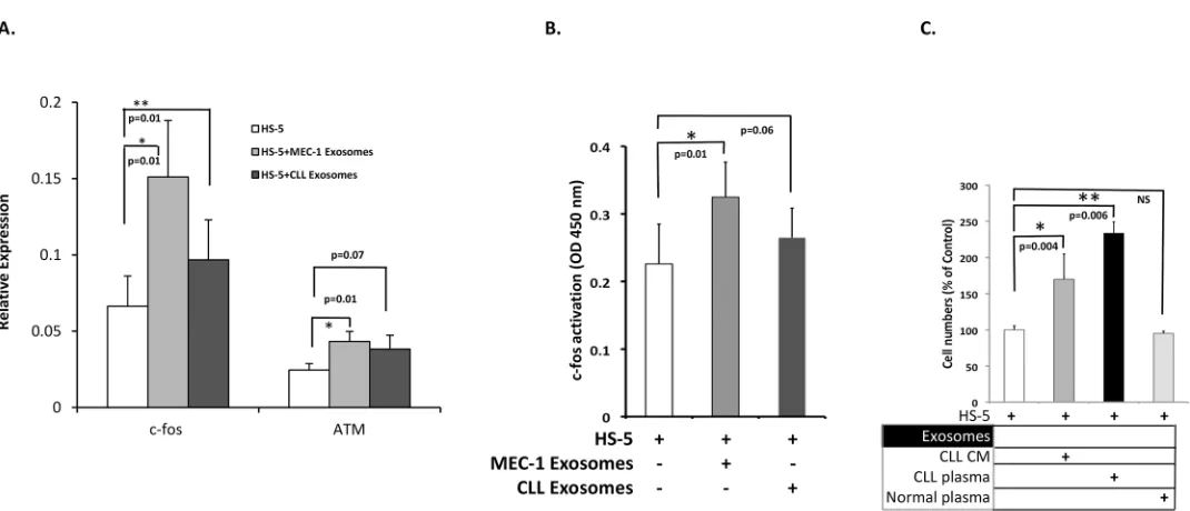 Fig 3. CLL derived exosomes modulate the gene expression profiles of HS-5 cells and alter the rate of their proliferation