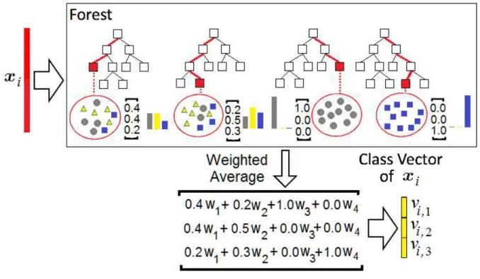 Figure 3: An illustration of the class vector generation taking into account the weights.